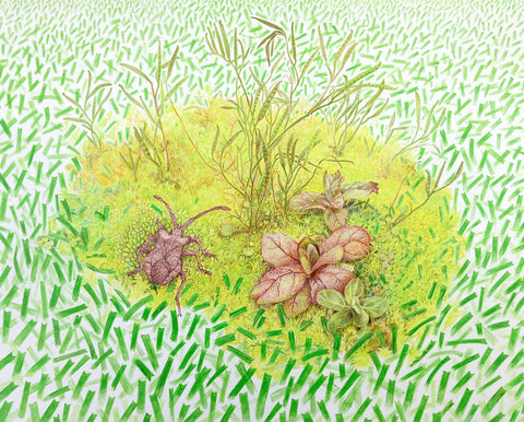 Oasis in the AstroTurf