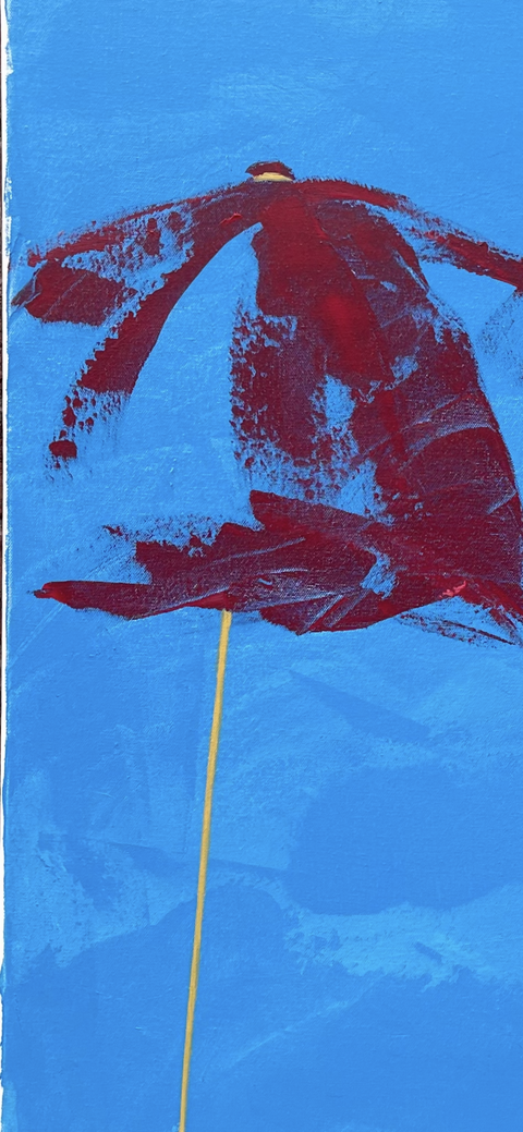 Beach Brolly’s - Do Not Disturb