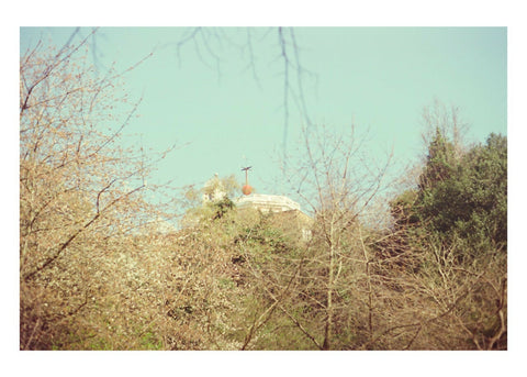 Greenwich Observatory In the Treetops