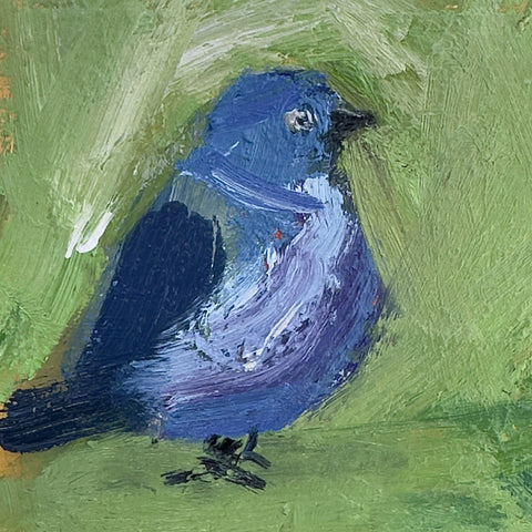 Electric Bluebird