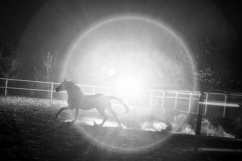 The Gallop of Light and Power / N1