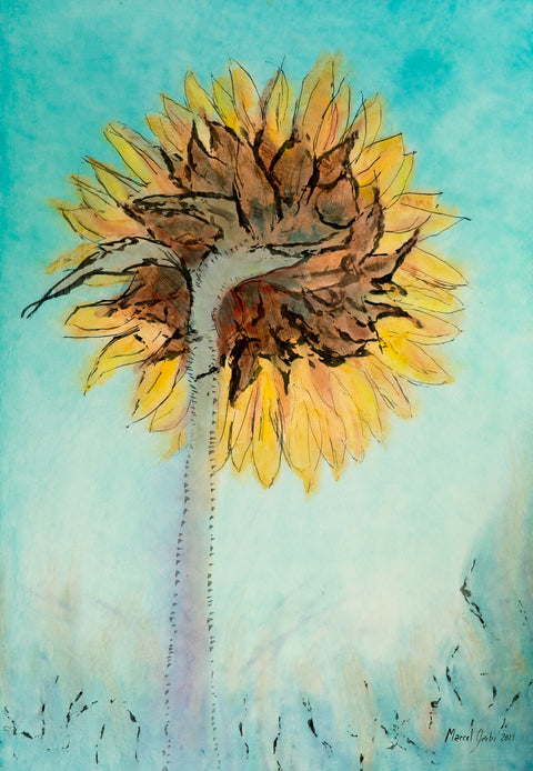 sunflower-from-behind150