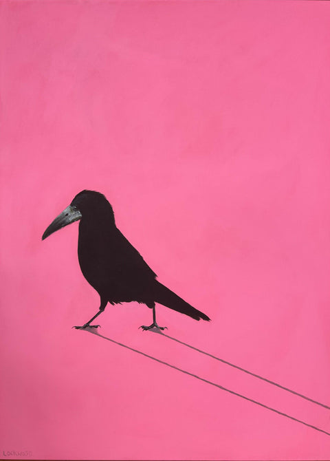 Christian the Rook in the Sun