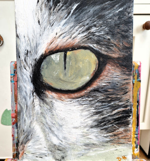 Cat's Eye