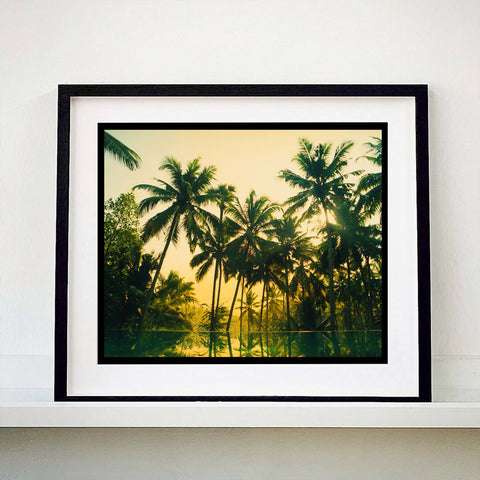 Vetyver Pool, Poovar, Kerala, 2013