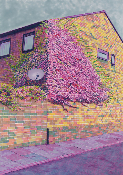 House Ivy