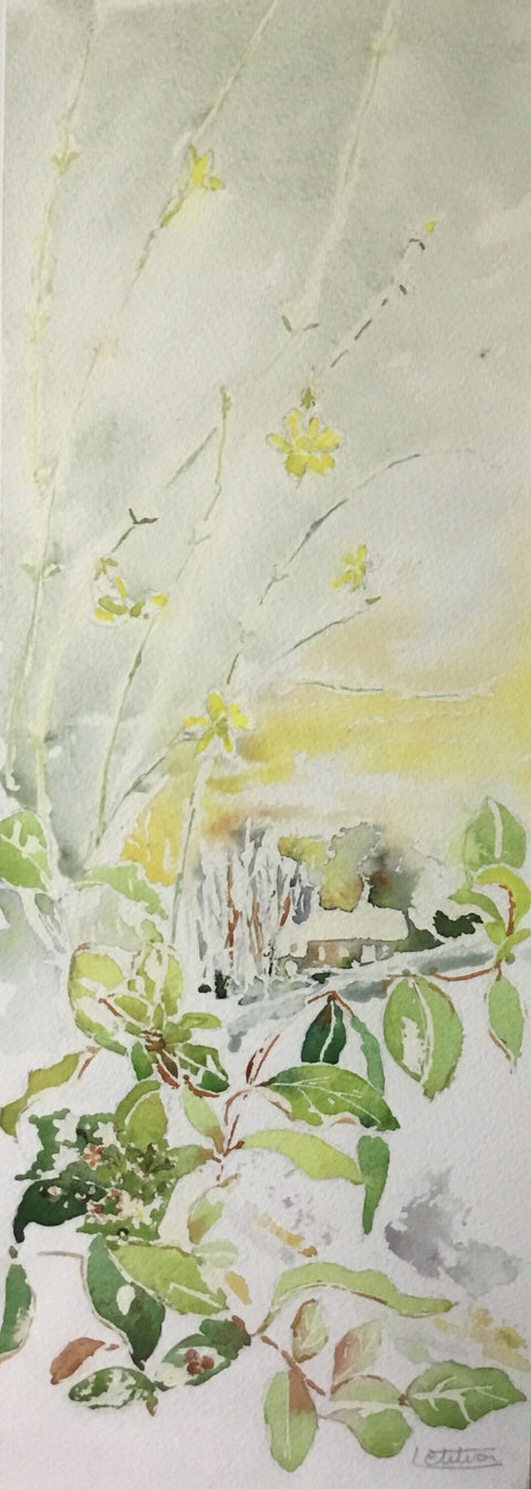 Winter - Winter Jasmine
