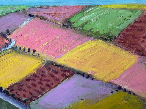 Fields in Blossom