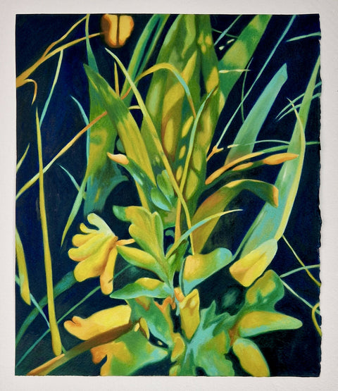 CherryGardens_2024_OilonPaper_29x34cm_LouisaClark (1)