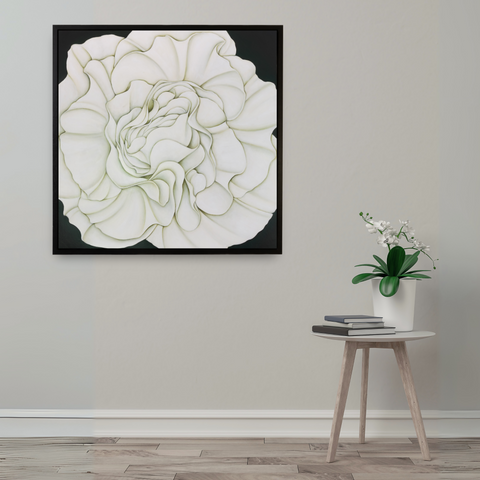 White Begonia on a Vancouver Balcony (on Vert de Gris)