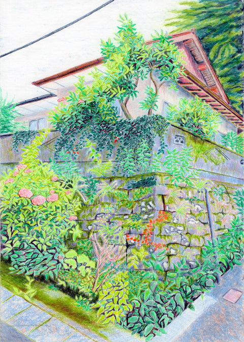 Japan 3 (compressed)