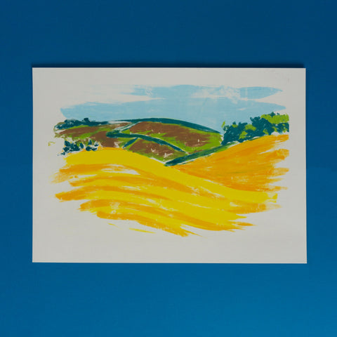 Fields I