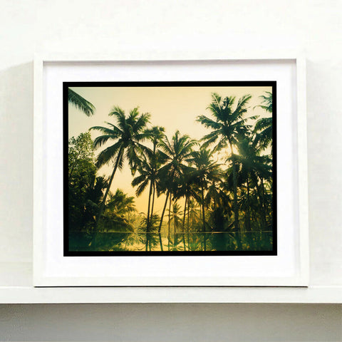 Vetyver Pool, Poovar, Kerala, 2013