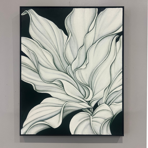 Plantain Lily at Night