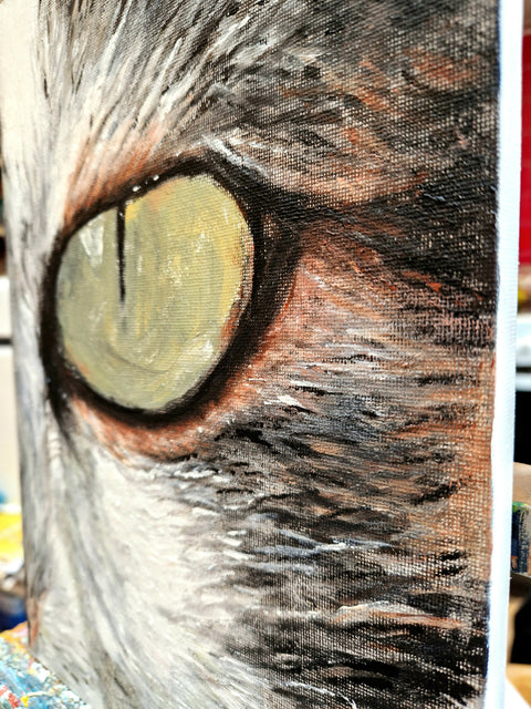 Cat's Eye
