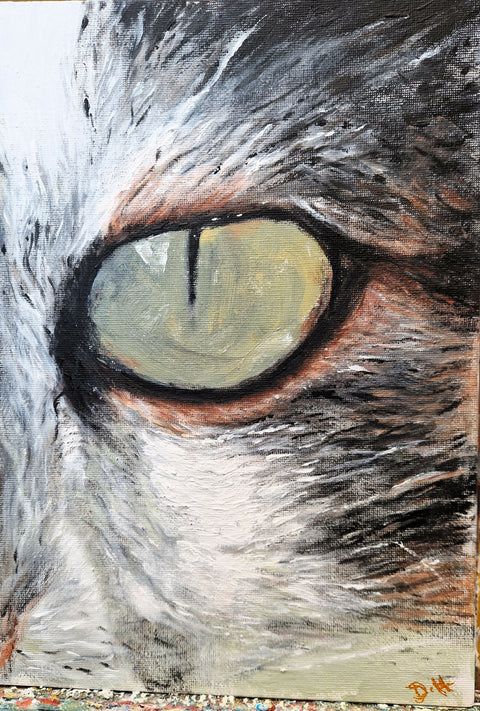 Cat's Eye