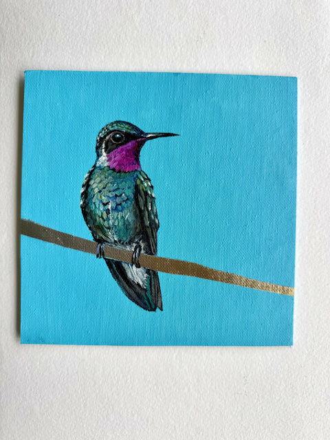Hummingbird Pink Neck