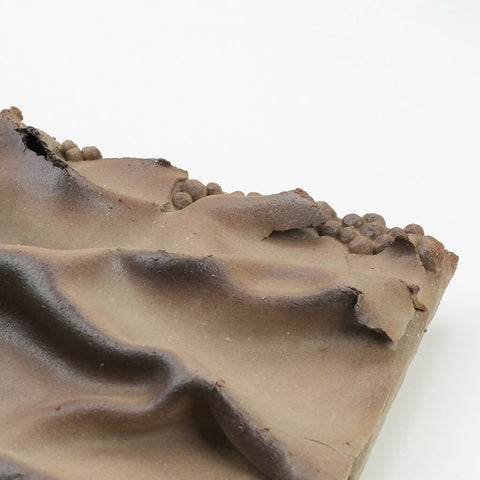 MaryiaVirshych_TerraCognita_Sandburn_2 copy