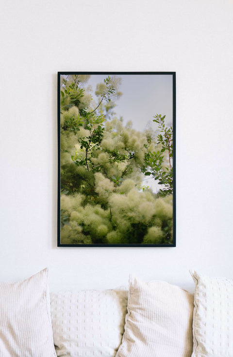 Comme La Fleur