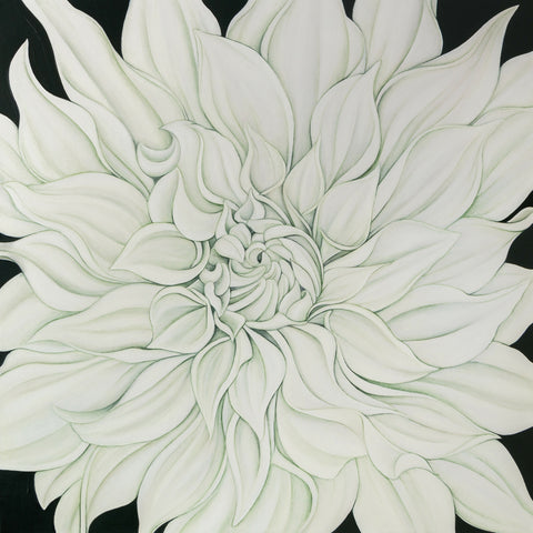 White Dahlia (on Vert de Gris) Print