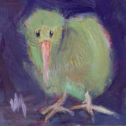 Mr. Kiwi