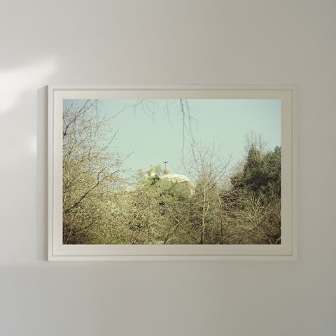 Greenwich Observatory In the Treetops