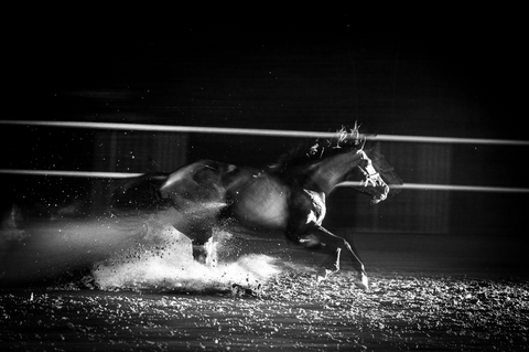 The Gallop of Light and Power / N2