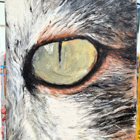 Cat's Eye
