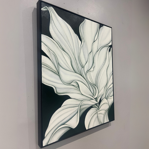 Plantain Lily at Night