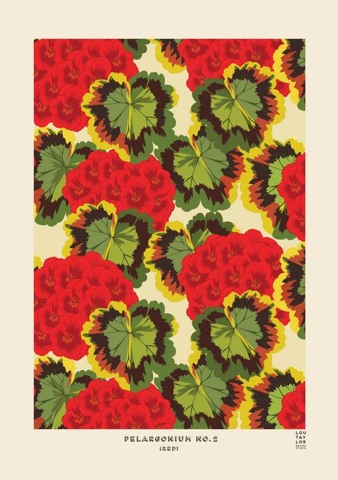 Red Pelargonium