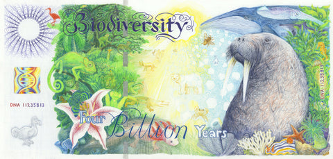 Banknote