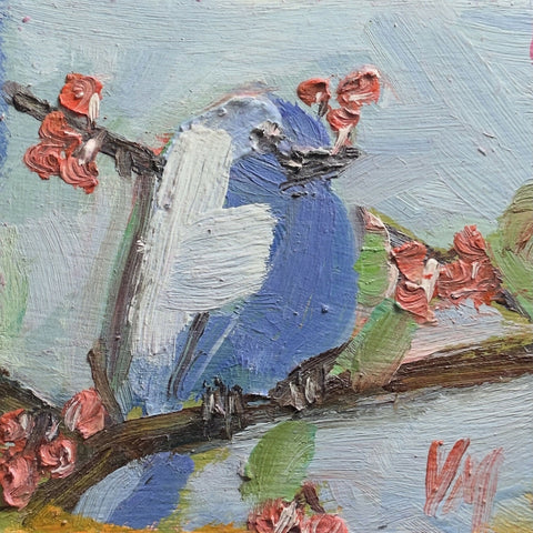 Blossom & Blue