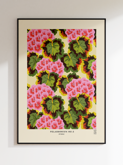 Pink Pelargonium
