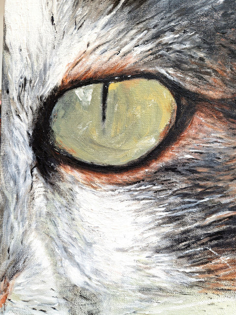Cat's Eye