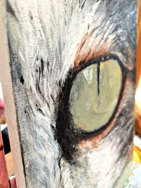 Cat's Eye