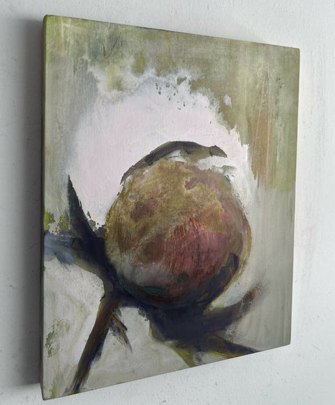 Peony, Titan Violet Pale
