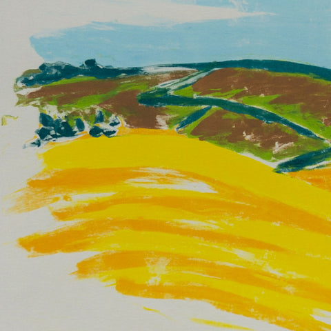 Fields I .01