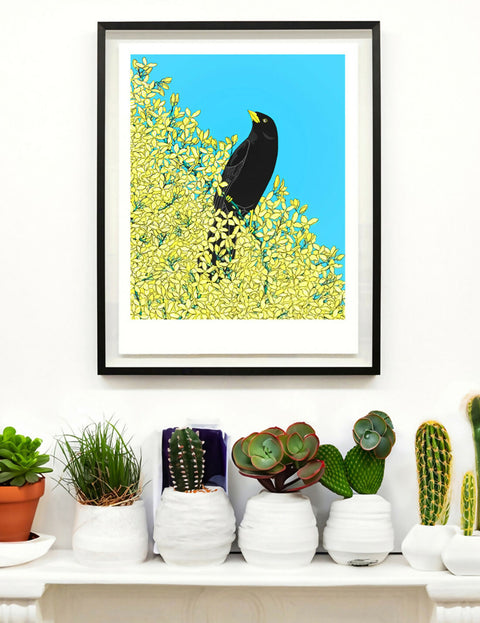 Blackbird and Forsythia