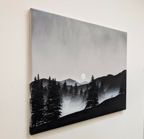 Stillness Among the Pines