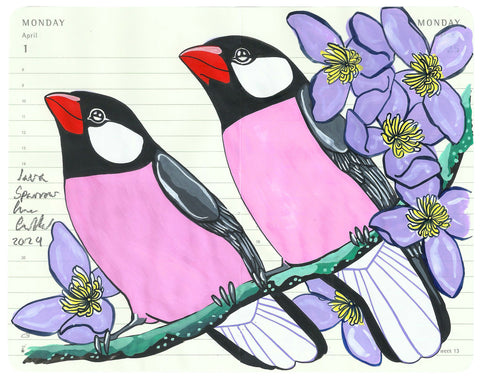 Java Sparrows