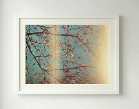 Budding Sakura with Light Leak