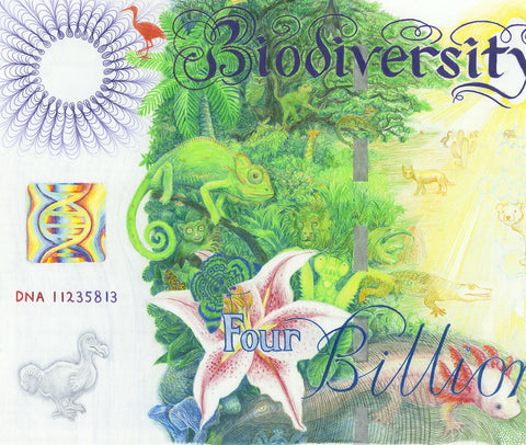 Banknote