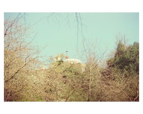 Greenwich Observatory In the Treetops