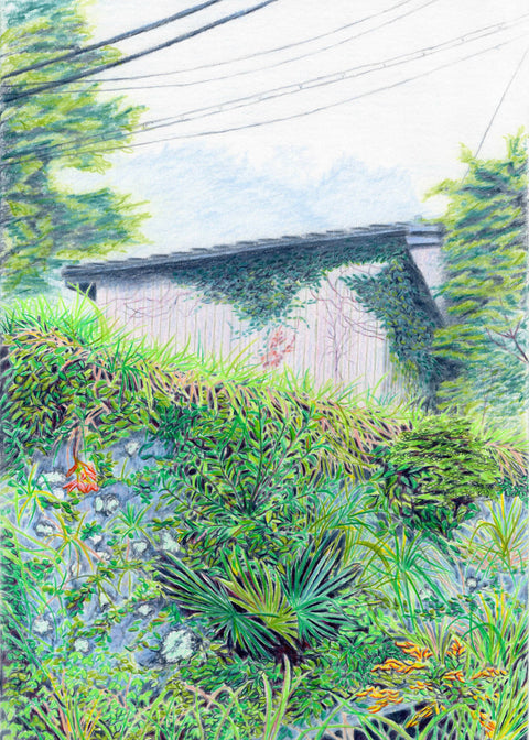 Japan 1 (compressed)