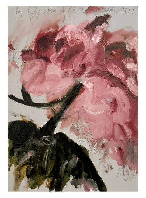 A Flower of the Mountain 161