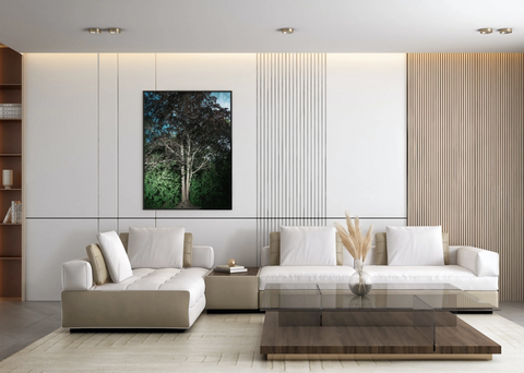 A Tree Between Reality and Dream