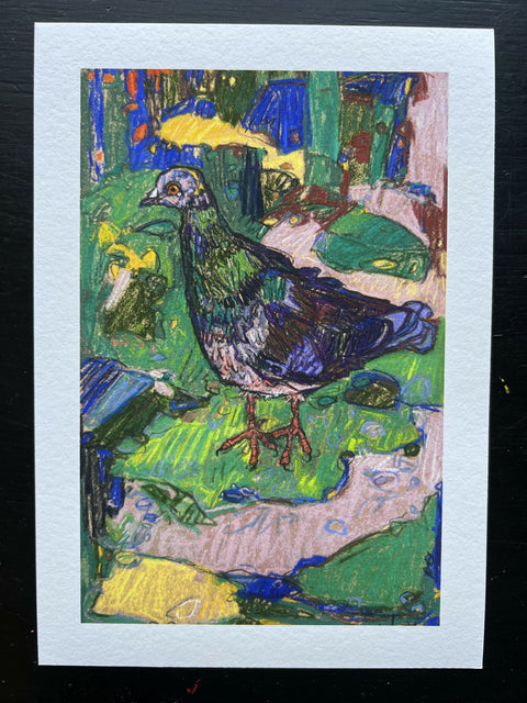 Pigeon of Peace