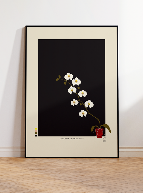 Orchid Vulvaris