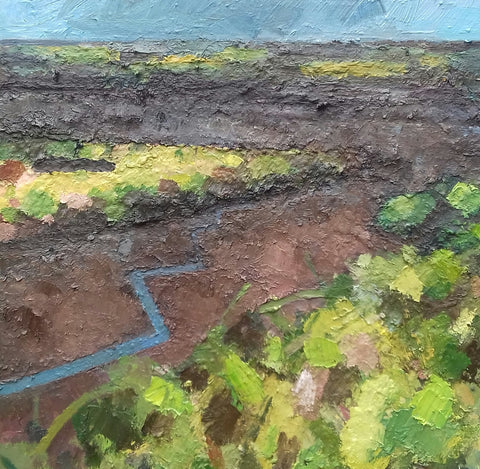 Saltmarshes near Wells next to sea