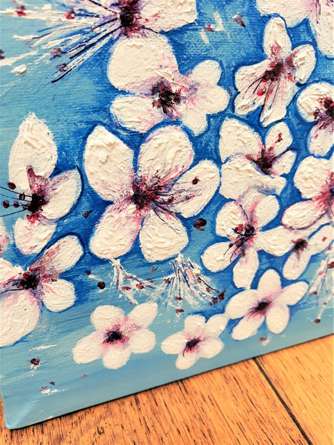 Cherry Blossom
